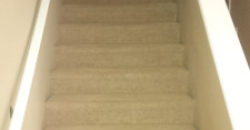 Woodhollow Park Residences (2 Bed/1 Bath)